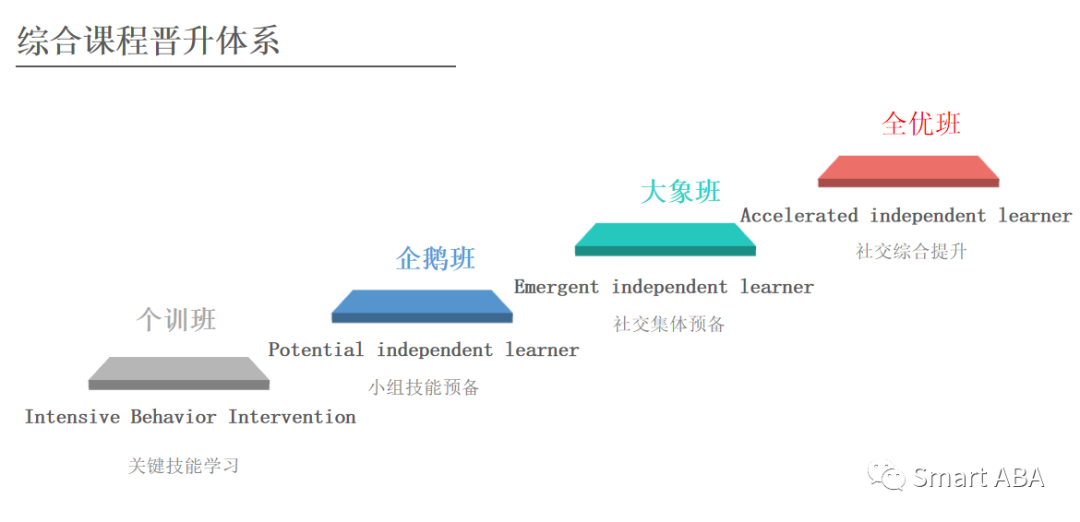 我们的小组社交课程升级啦